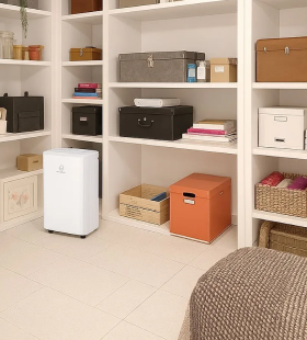 Luchtontvochtigers kelder