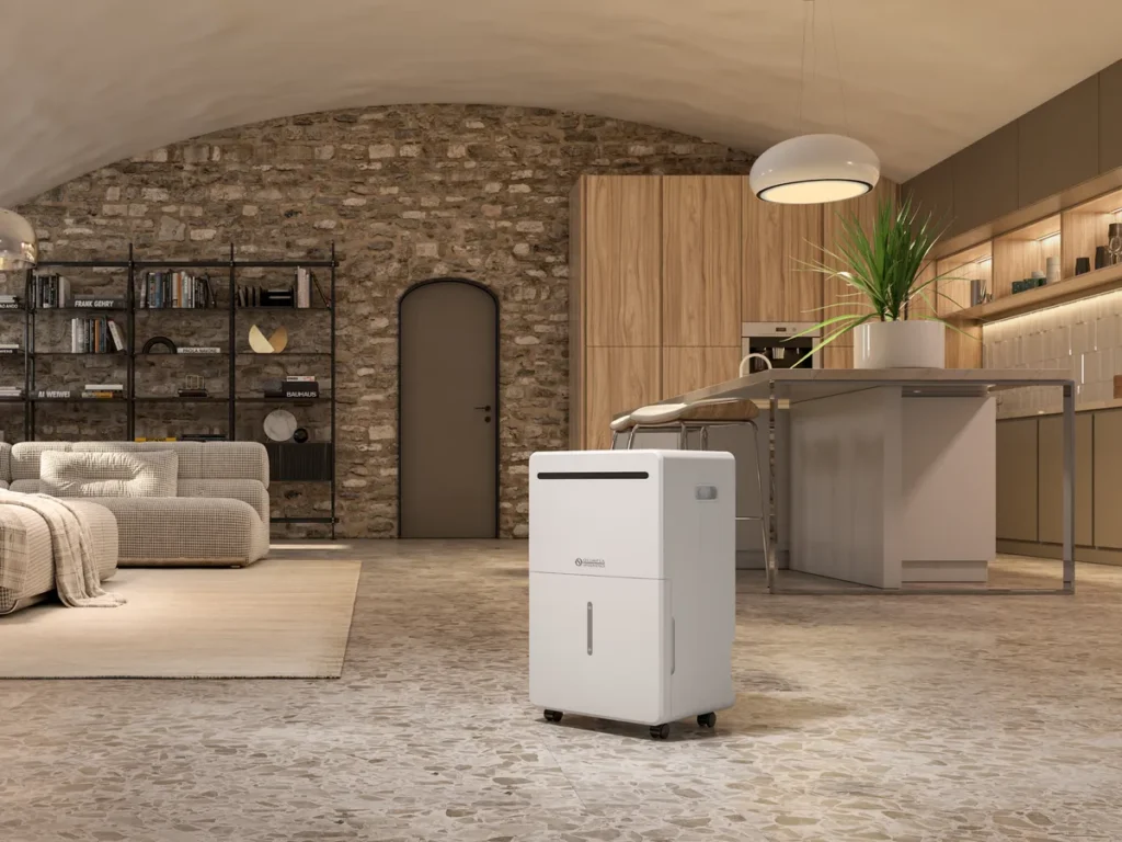 Olimpia Splendid Aquaria S2 40 luchtontvochtiger in een living